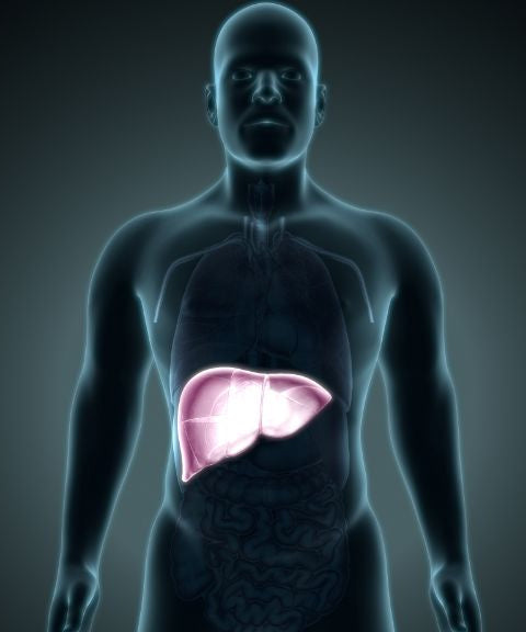 Lipid Accumulation Suppression